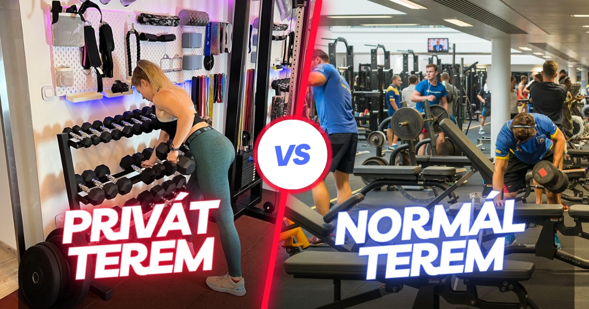 Privát edzőterem vs. hagyományos konditerem: Melyik a jobb választás neked?