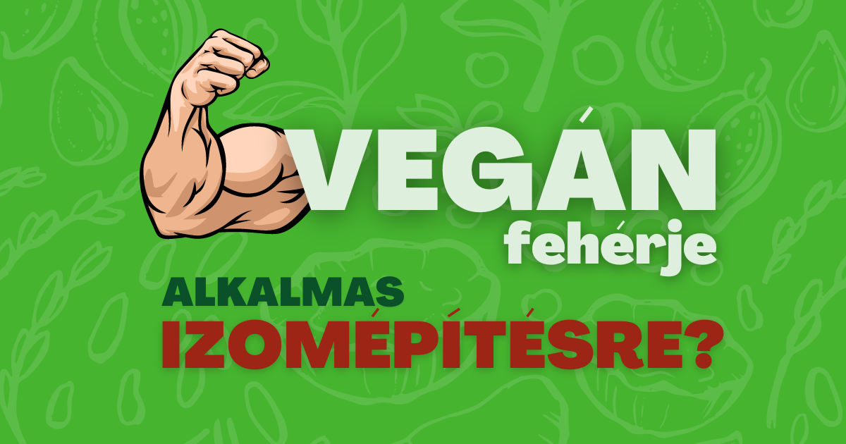Vegán fehérje alkalmas izomépítésre?